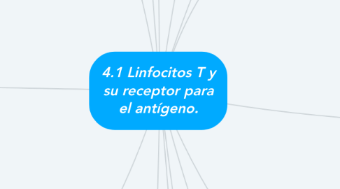 Mind Map: 4.1 Linfocitos T y su receptor para el antígeno.