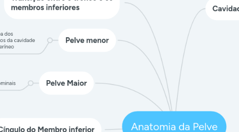 Mind Map: Anatomia da Pelve