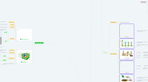 Mind Map: Plants Unit