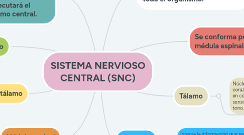 Mind Map: SISTEMA NERVIOSO CENTRAL (SNC)