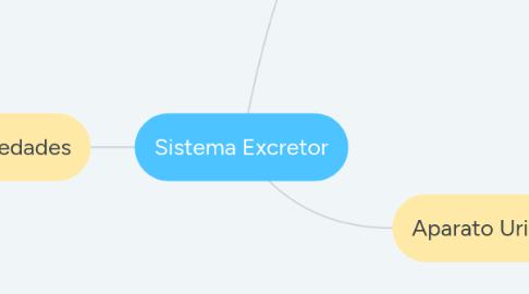 Mind Map: Sistema Excretor