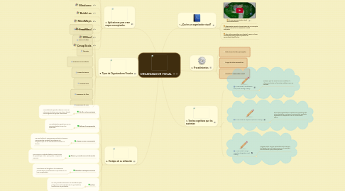 Mind Map: ORGANIZADOR VISUAL