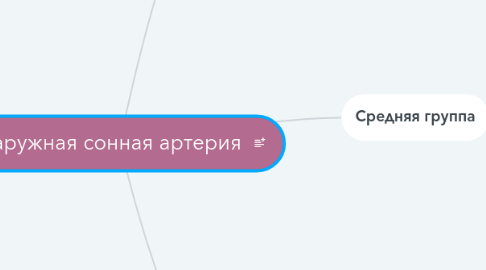 Mind Map: Наружная сонная артерия