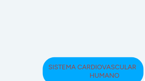 Mind Map: SISTEMA CARDIOVASCULAR HUMANO