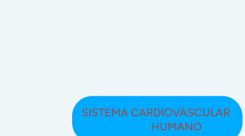 Mind Map: SISTEMA CARDIOVASCULAR                HUMANO