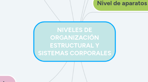 Mind Map: NIVELES DE ORGANIZACIÓN ESTRUCTURAL Y SISTEMAS CORPORALES