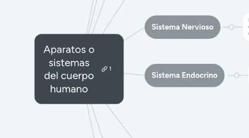 Mind Map: Aparatos o sistemas del cuerpo humano