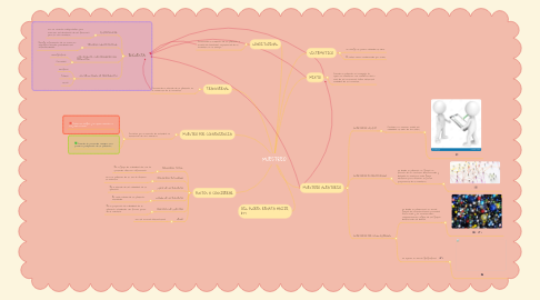 Mind Map: MUESTREO