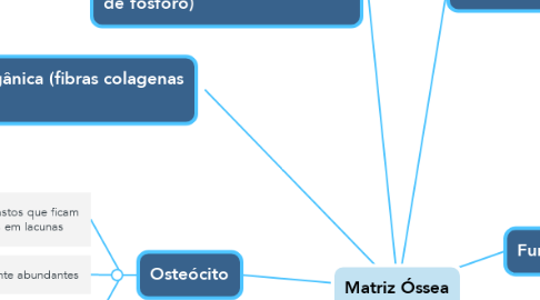 Mind Map: Matriz Óssea