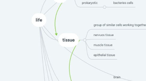 Mind Map: life