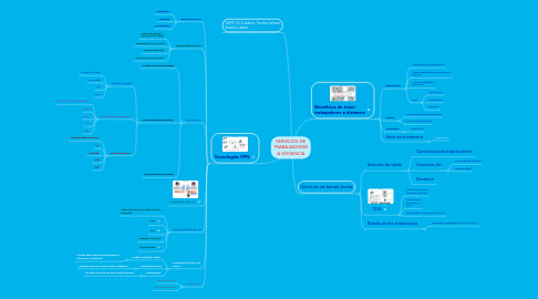 Mind Map: SERVICIOS DE TRABAJADORES A DISTANCIA