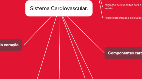 Mind Map: Sistema Cardiovascular.