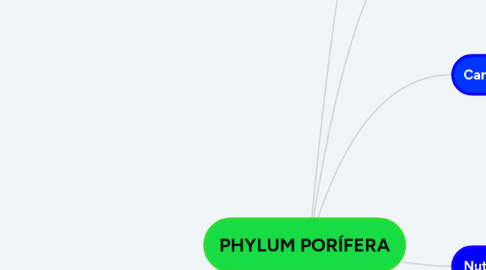 Mind Map: PHYLUM PORÍFERA