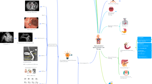 Mind Map: Gastrointestinal System Disease and Therapy