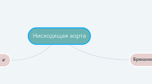 Mind Map: Нисходящая аорта