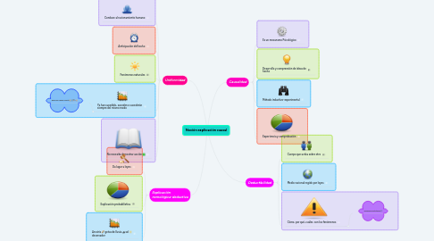 Mind Map: Noción explicación causal