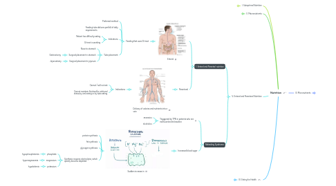 Mind Map: Nutrition