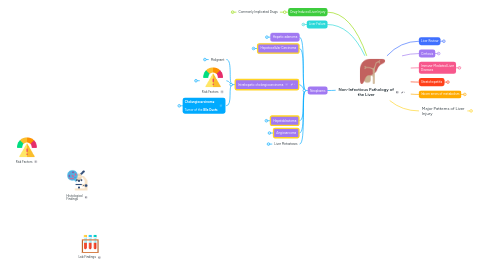 Mind Map: Non-Infectious Pathology of the Liver