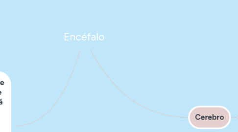 Mind Map: Encéfalo