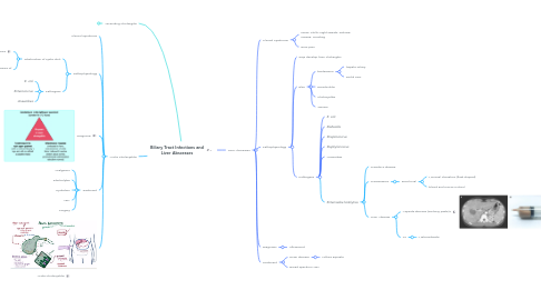 Mind Map: Biliary Tract Infections and Liver Abscesses