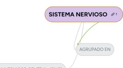 Mind Map: ANATOMÍA CEREBRAL HUMANA