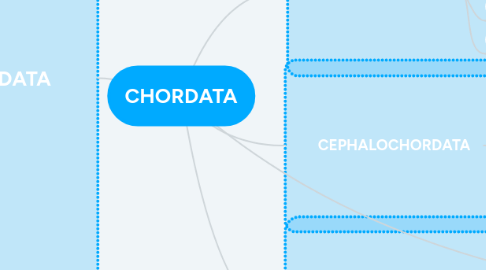 Mind Map: CHORDATA