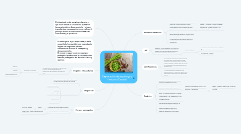 Mind Map: Exportación de espárragos frescos a Canadá