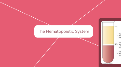 Mind Map: The Hematopoietic System