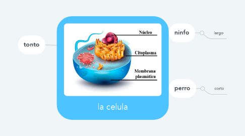 Mind Map: la celula