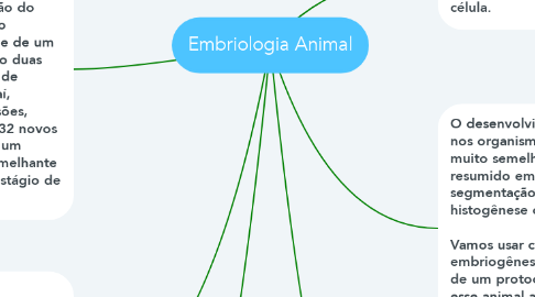 Mind Map: Embriologia Animal