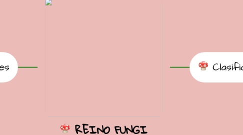 Mind Map: REINO FUNGI