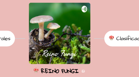 Mind Map: REINO FUNGI