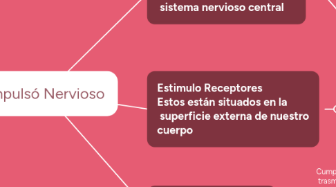 Mind Map: Impulsó Nervioso