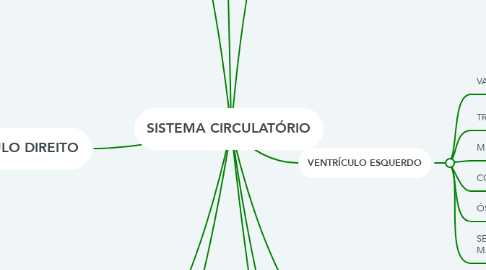 Mind Map: SISTEMA CIRCULATÓRIO