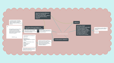 Mind Map: neurotransmisores