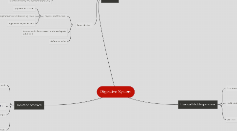 Mind Map: Digestive System