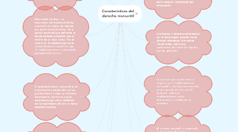 Mind Map: Características del derecho mercantil