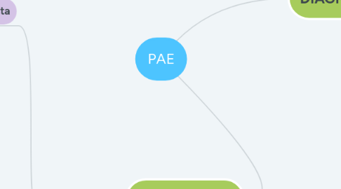 Mind Map: PAE