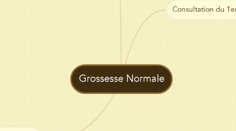 Mind Map: Grossesse Normale