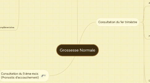 Mind Map: Grossesse Normale