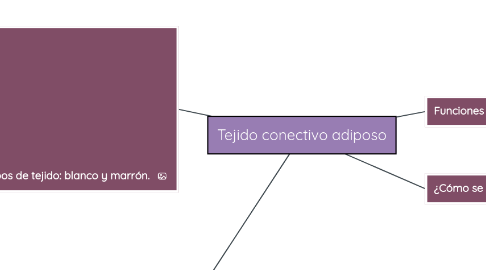 Mind Map: Tejido conectivo adiposo