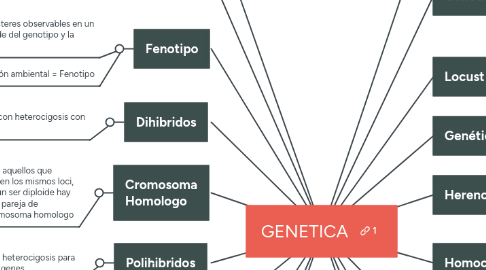 Mind Map: GENETICA