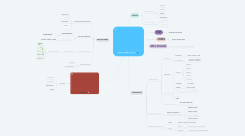 Mind Map: ENTORNO VIVO