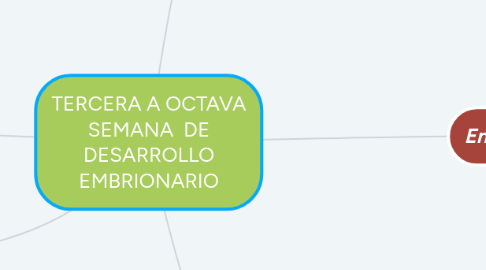 Mind Map: TERCERA A OCTAVA SEMANA DE DESARROLLO EMBRIONARIO