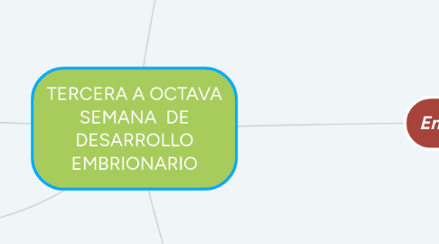 Mind Map: TERCERA A OCTAVA SEMANA  DE DESARROLLO EMBRIONARIO