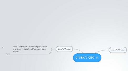 Mind Map: C.V&K.V CEO