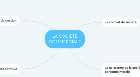 Mind Map: LA SOCIETE COMMERCIALE