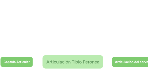 Mind Map: Articulación Tibio Peronea