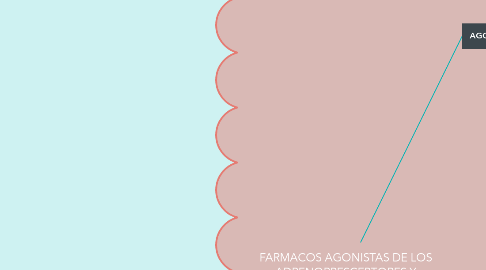 Mind Map: FARMACOS AGONISTAS DE LOS ADRENORRESCEPTORES Y SIMPATICOMIMETICOS