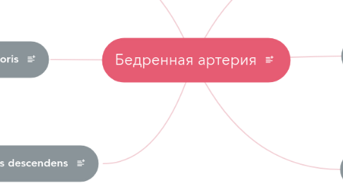 Mind Map: Бедренная артерия